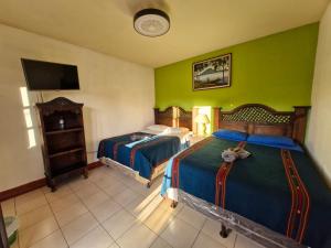 Hospedaje El Viajero Antigua