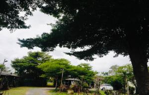Baan Chomchan - Thale Noi บ้านพักชมจันทร์