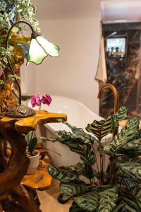 Montville Mountain Cottage - A Romantic Escape