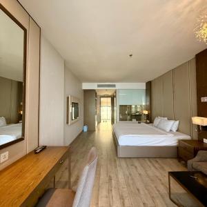 DAC Codotel