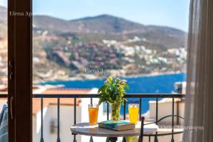Elena apartment kalkan