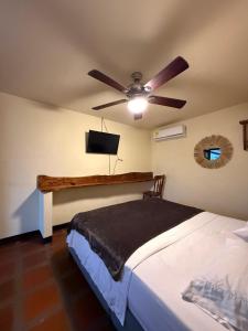 La Rosa Nautica Hostel