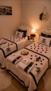 Oferta noclegów 17155259