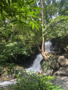 Forest Stay near Bana Hills - Toom Sara Bungalows