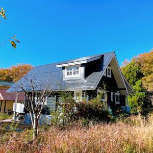 OLI OLI tree - Vacation STAY 39608v