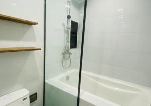 Oferta noclegów 17155623