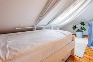 Airy skylight apt, 5 min to Republic Square