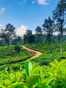 Anthurium Villa Bandarawela