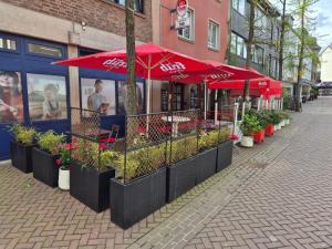 Kölsch & Kissen Kleve I