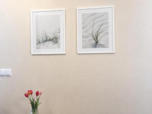 Apartament Wrocławska by LibertaRent