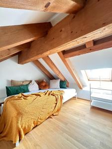 HRE Apartment Winterthur Seen für 4 Gäste