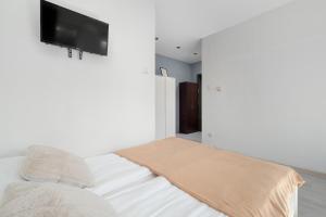 Przytulne Studio z Pralką Niedaleko Muzeum Włókiennictwa w Łodzi by Noclegi Renters