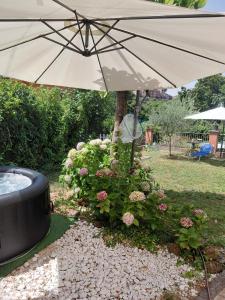 Oferta noclegów 17156234
