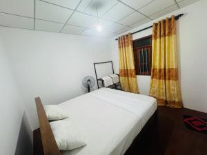 DUMI Homestay