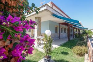 Mabell Guest House