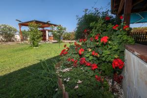 Mabell Guest House