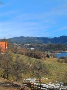 Brvnara JEZDA