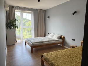 Sunny & Spacious Birstonas apartment