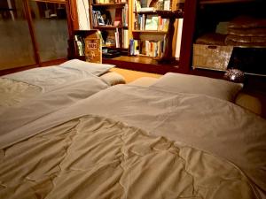 NEMARU Live with Books