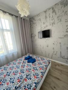 Oferta noclegów 17157411