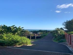 The Dolphines Hive View