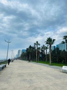 BLUE HORIZON orbi SEA VIEW