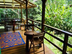Tranquila, Casonita y Ranitas 3 Jungle Houses for nature lovers sleeps 8