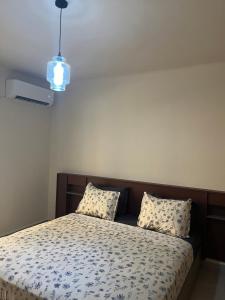 Akid Lotfi APT
