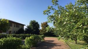 B&B Oasi