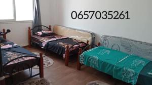Oferta noclegów 17159231