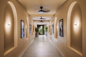 Iguana Surf Boutique Hotel Tamarindo Rooftop Pool & Beachfront Suites