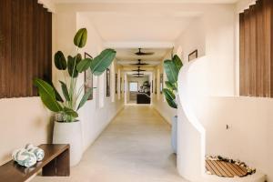Iguana Surf Boutique Hotel Tamarindo Rooftop Pool & Beachfront Suites