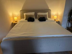 Oferta noclegów 17139833