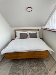 Oferta noclegów 17159948