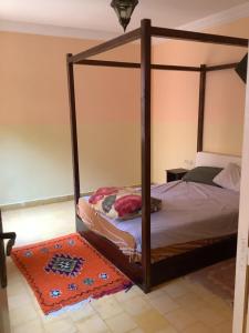 Oferta noclegów 17159973