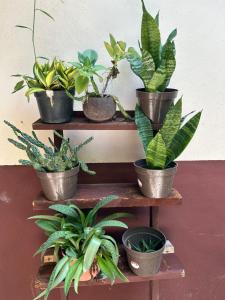 La Casita