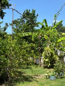 La Casita