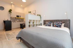 Modern studio apartment in the Quiet Center of Riga