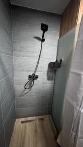 Siera Apartment Kopaonik Spa & Pool Mountain View