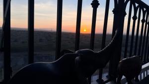 LaMaison- 2 Bedroom,8 Minutes from JKIA Airport & SGR, National Park Views,Pool & Gym Overlooking the Park