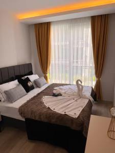 Oferta noclegów 17160432