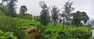 Vagamon Hill palace Holidays3BHK