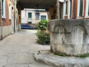 Salerosa Venezia