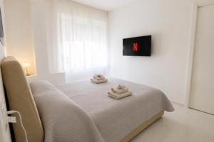Oferta noclegów 17162411