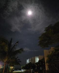 Oceanami Resort Sea View