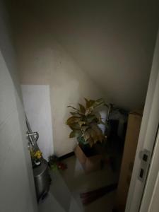 Rumah Cluster Florence Pakuwon City