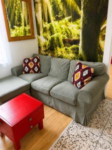 Oferta noclegów 17162664