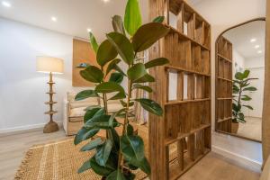 Suite Malabau 02