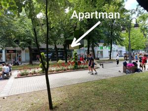 Apartman Luna VJ Apatin