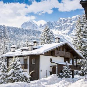 Chalet Cortina